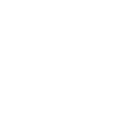 Morelos Open presentado por Metaxchange