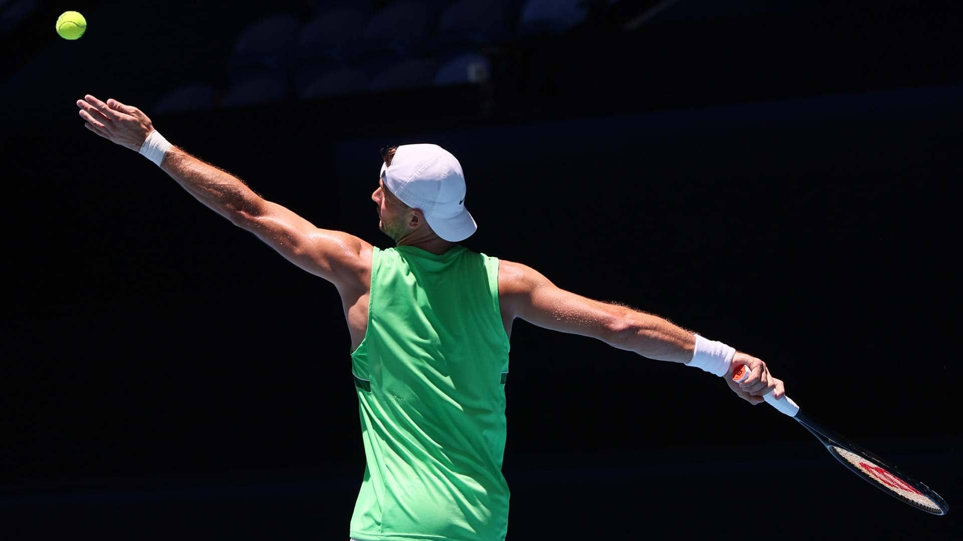 <a href='https://www.atptour.com/en/players/grigor-dimitrov/d875/overview'>Grigor Dimitrov</a>