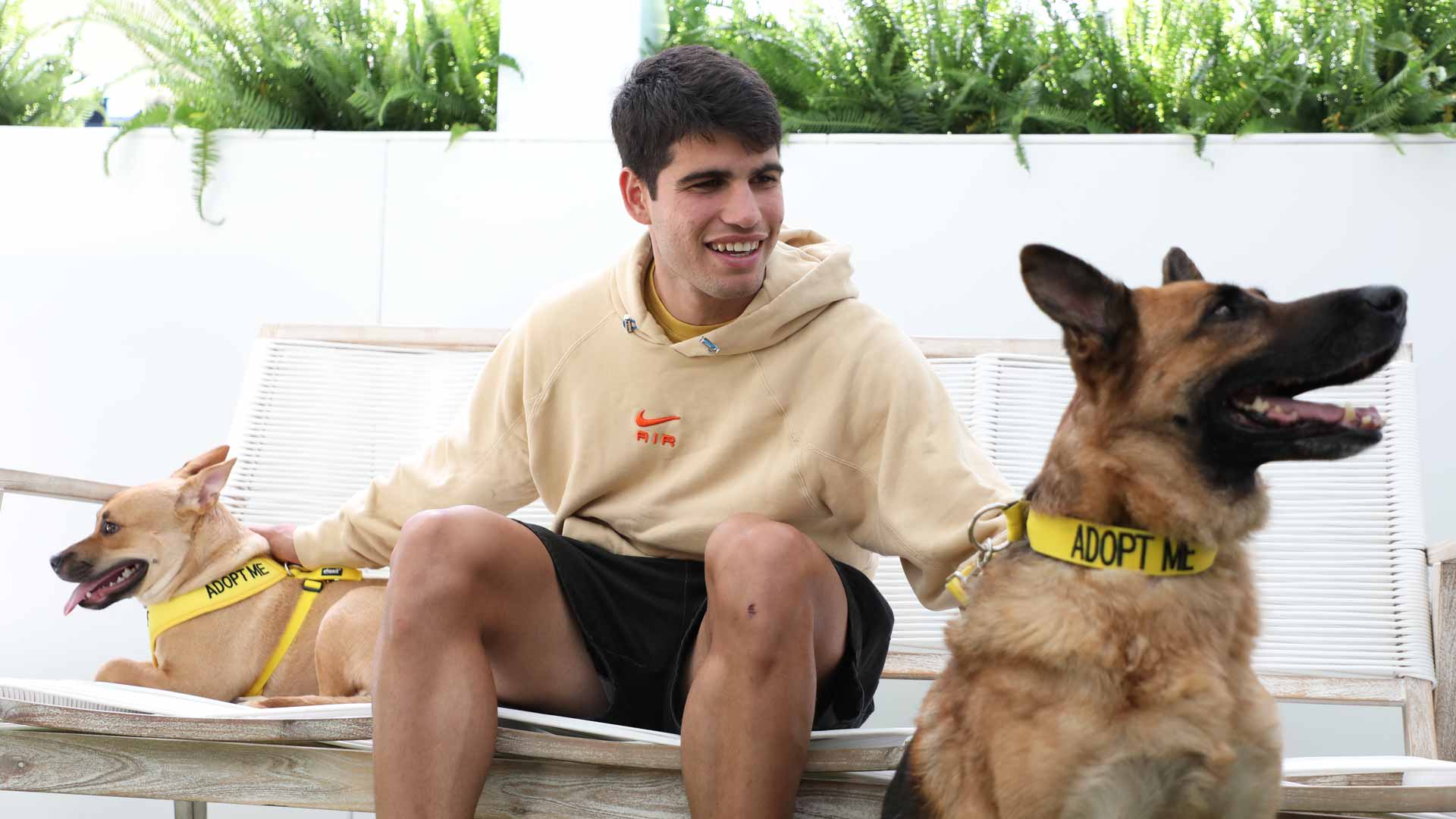 <a href='https://www.atptour.com/es/players/carlos-alcaraz/a0e2/overview'>Carlos Alcaraz</a>
