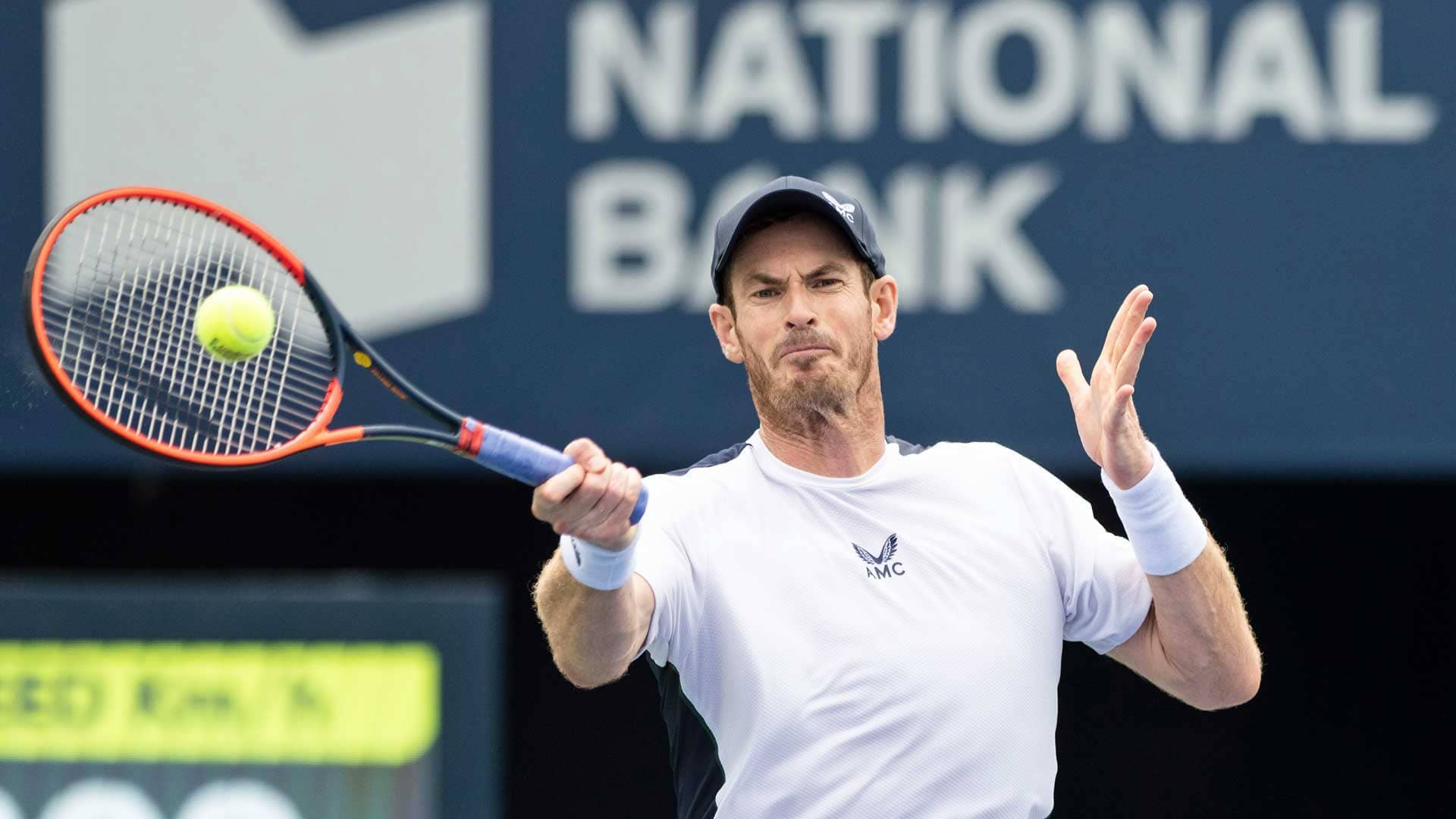 Andy Murray subió cuatro lugares esta semana al No. 36 en el Pepperstone ATP Live Rankings.