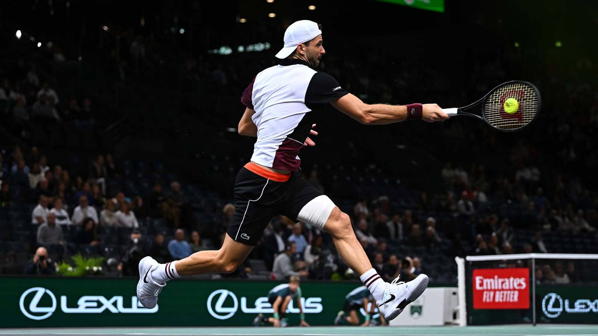 <a href='https://www.atptour.com/en/players/grigor-dimitrov/d875/overview'>Grigor Dimitrov</a>