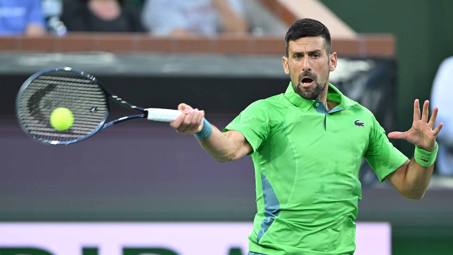 Novak Djokovic presenta un balance de 8-3 en la temporada 2024.