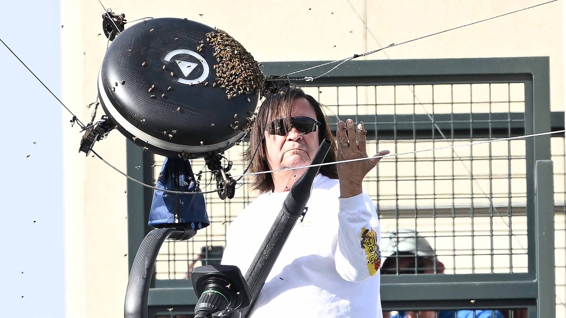 Beekeeper Lance Davis takes care of business at the Indian Wells Tennis Garden Thursday.