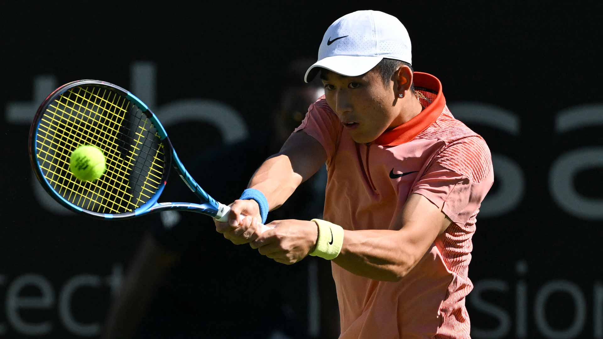 Fritz, Shang set Eastbourne QF showdown