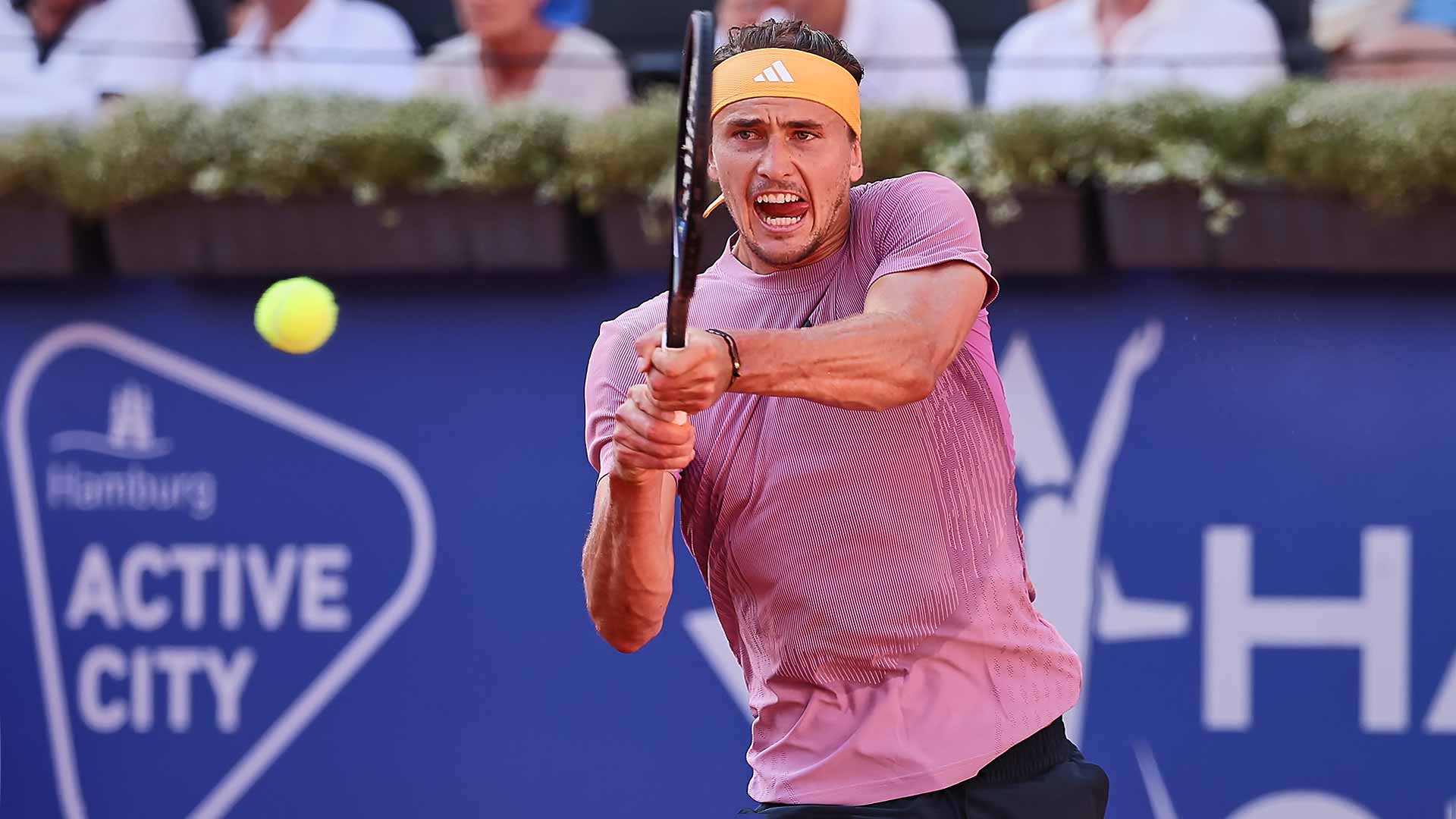 <a href='https://www.atptour.com/en/players/alexander-zverev/z355/overview'>Alexander Zverev</a>
