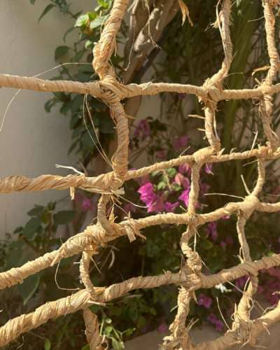 Net in Jeddah