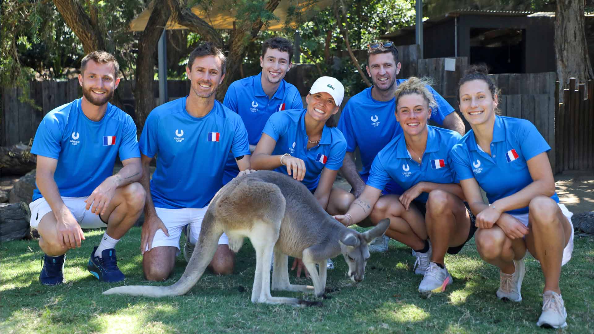 A cure for the United Cup loss blues: A visit to the Taronga Zoo