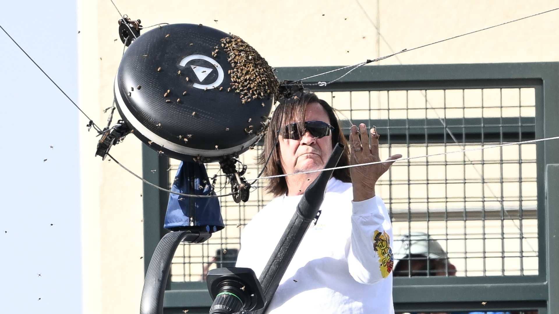 Beekeeper Lance Davis was called to the BNP Paribas Open in 2024 to deal with a bee invasion. 