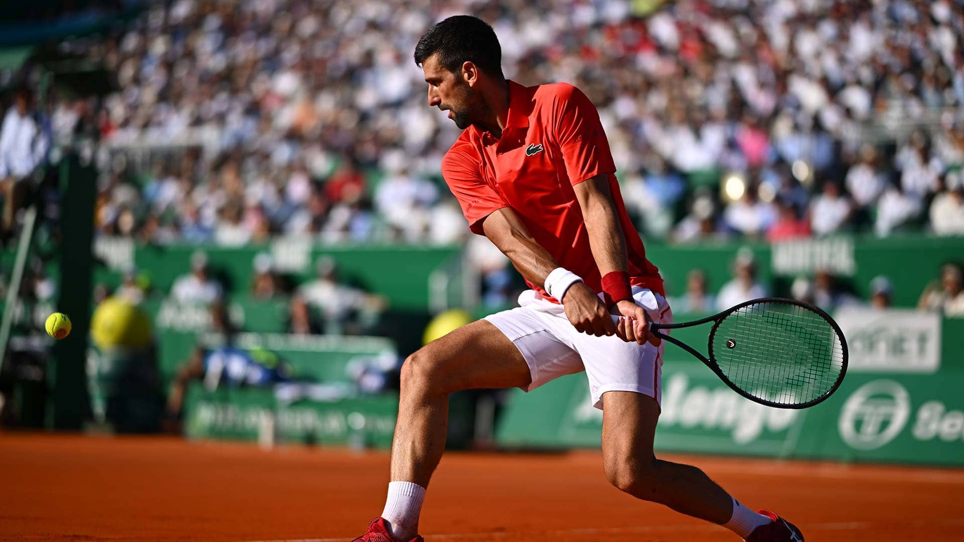 Novak Djokovic is a two-time champion at the ATP Masters 1000 event.