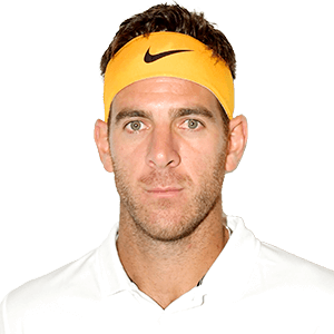 Juan Martin del Potro