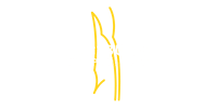 Hamburg European Open, an ATP 500 tennis tournament in Germany