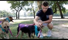 Thiem-Buenos-Aires-2019-Dogs