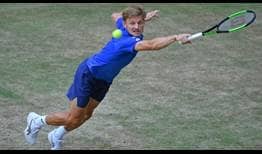 Goffin-Halle-2019-Friday