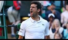 Wimbledon-2019-Djokovic-grito