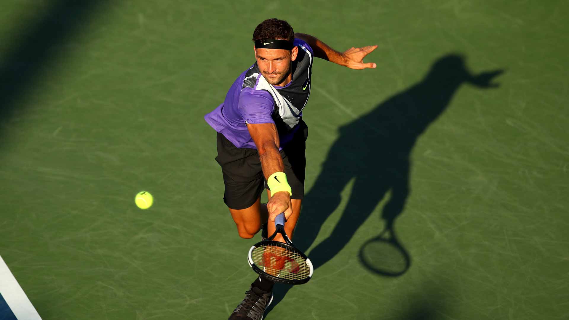 Dimitrov
