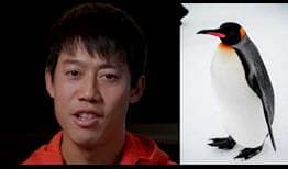 Kei Nishikori reveals he wanted to be a penguin as kid in a hilarious interview during the Rotterdam tournament.