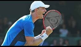 Kevin Anderson rallied from a set down against Jack Sock to reach the Hall of Fame Open semi-finals in Newport.
