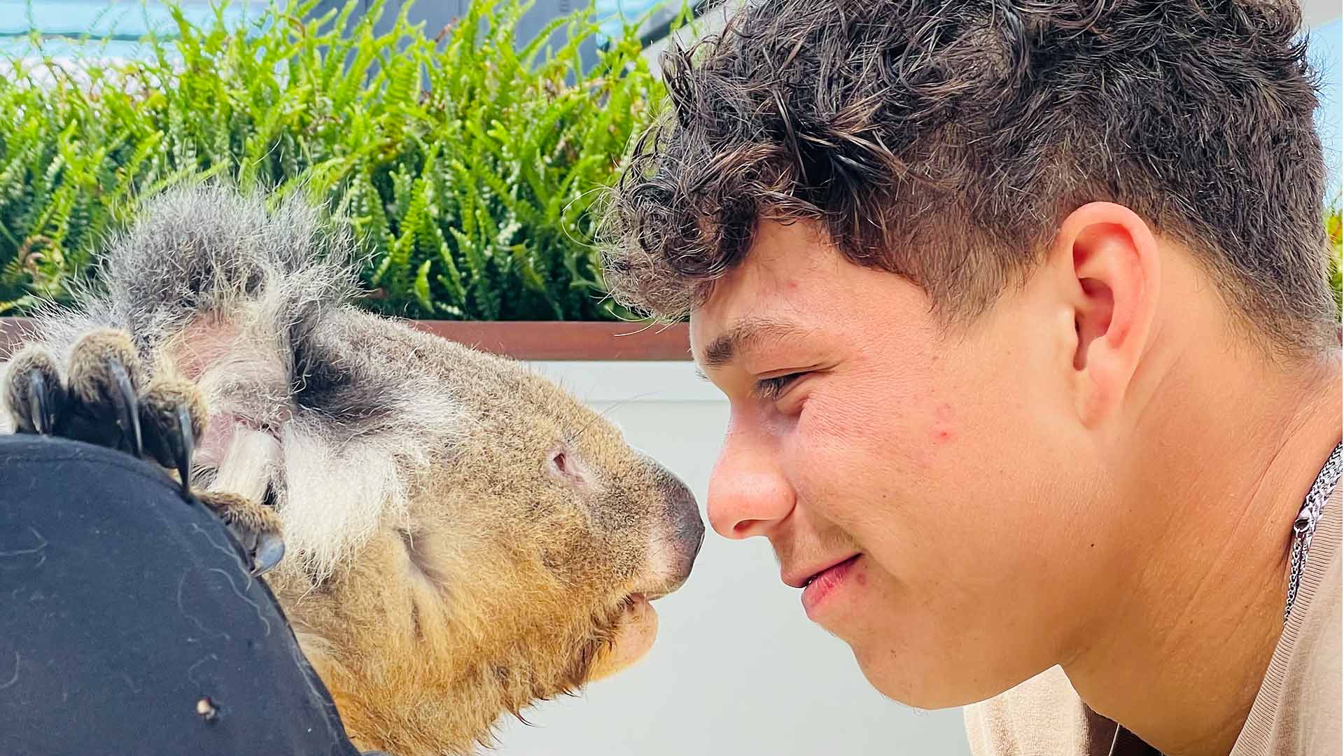 Ben Shelton meets a koala in Melbourne.
