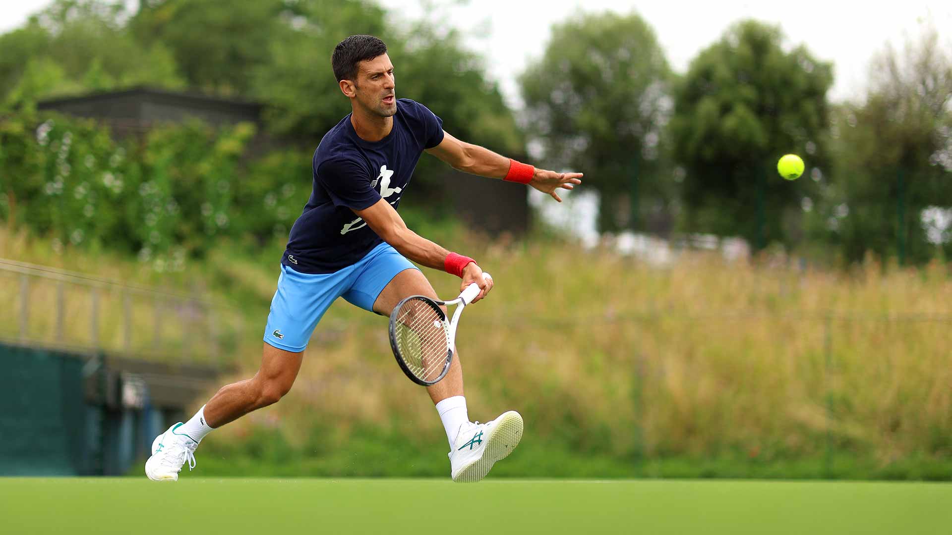 Novak Djokovic, whose Wimbledon preparations are well underway, will pursue his eighth title at the grass-court major over the coming fortnight.