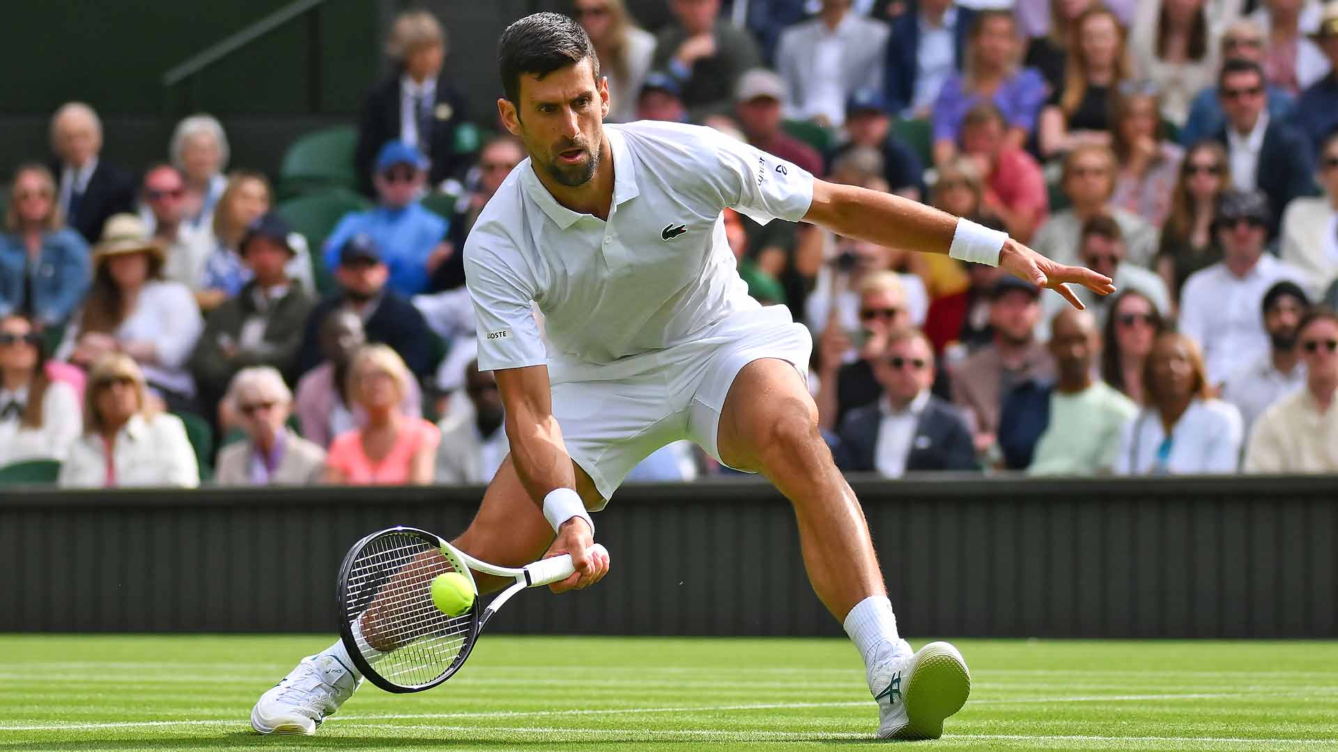 Novak Djokovic is pursuing his eighth Wimbledon title this fortnight.