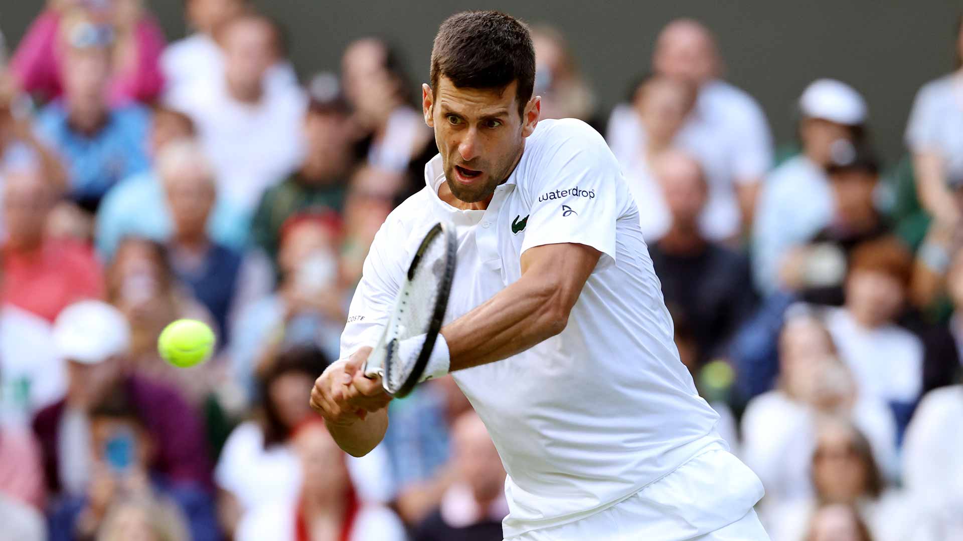 Novak Djokovic defeats Jordan Thompson in straight sets Wednesday at Wimbledon.