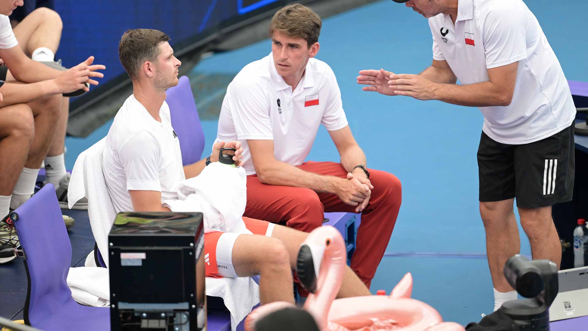 A plastic flamingo has sat perched in the Poland Team Zone throughout the United Cup.