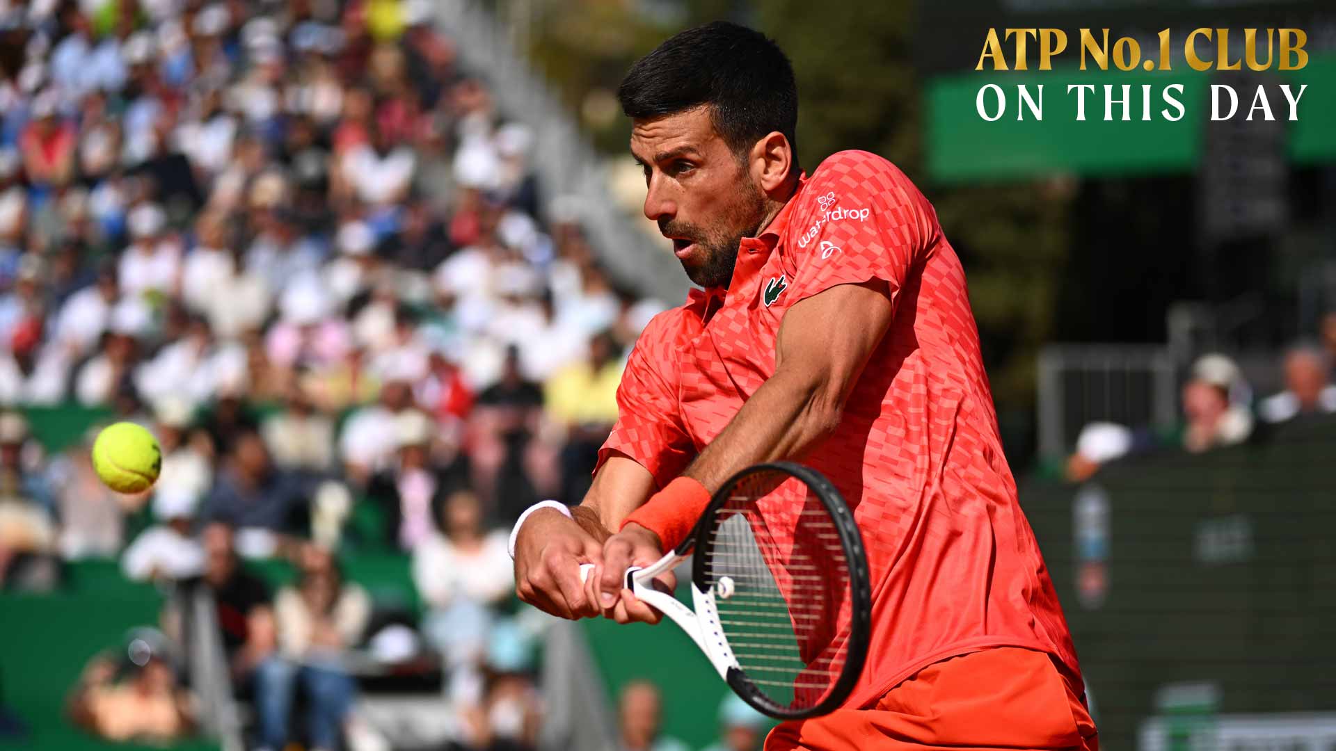Novak Djokovic ha pasado un total de 428 semanas en el puesto número 1 del PIF ATP Rankings.