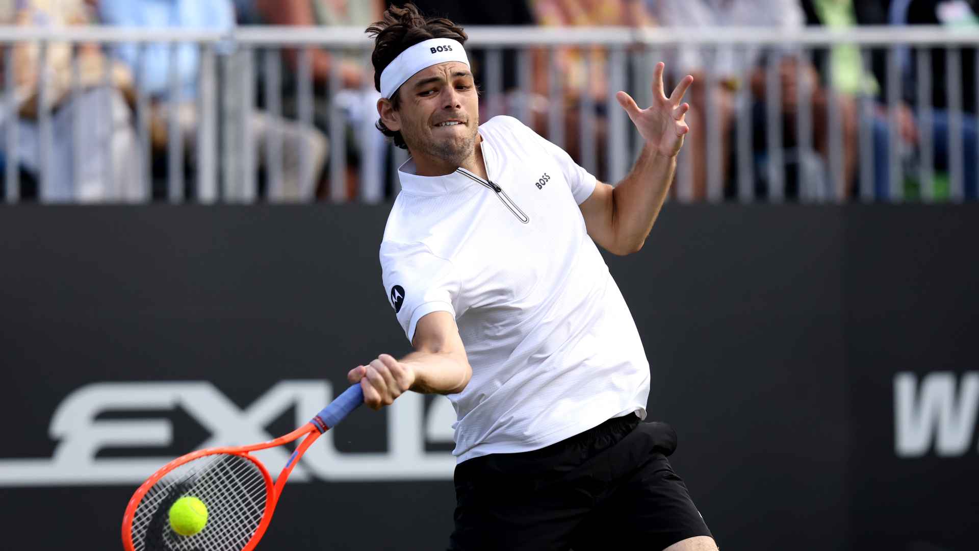 Fritz pondrá en juego su histórico invicto en finales sobre césped