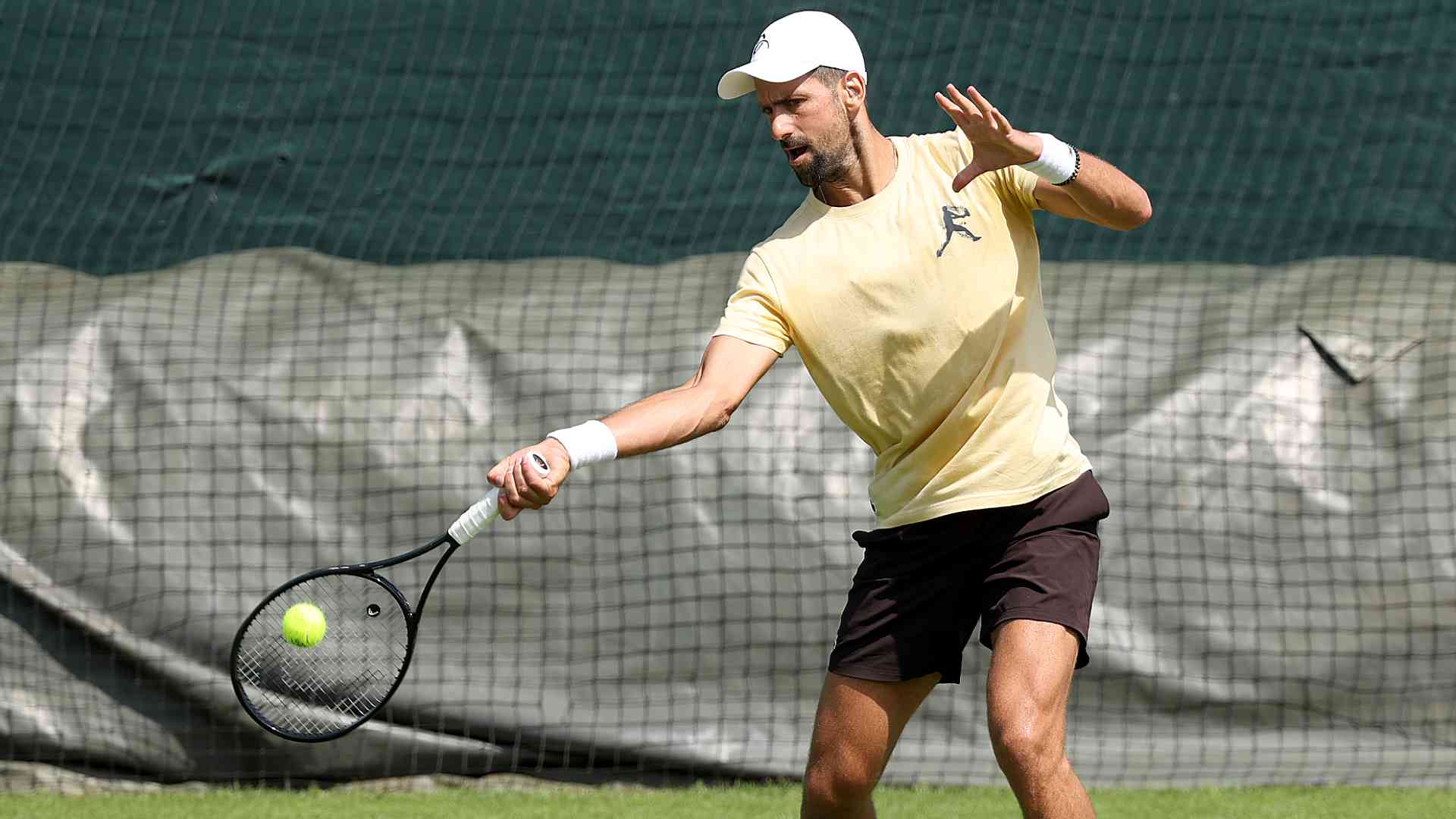 Novak Djokovic is chasing his eighth Wimbledon crown.