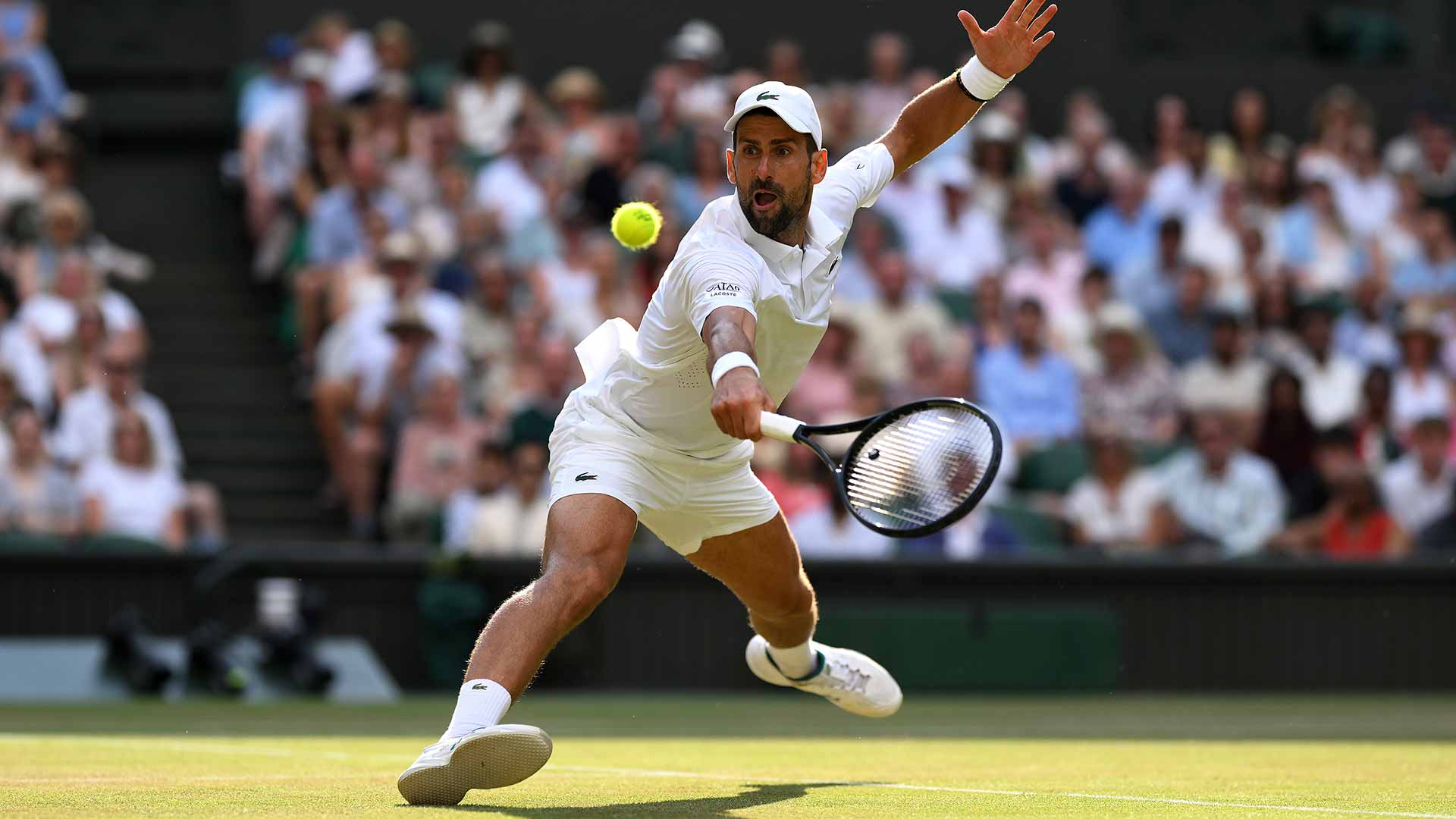 Novak Djokovic was chasing his eighth Wimbledon title and record-extending 25th major.