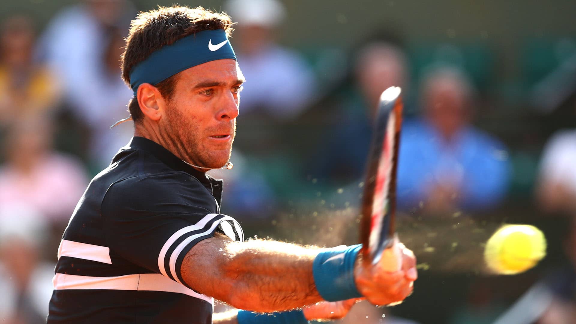 Del Potro wins International Tennis Hall of Fame Fan Vote
