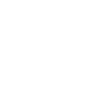 ATP 250 Tournament of the Year