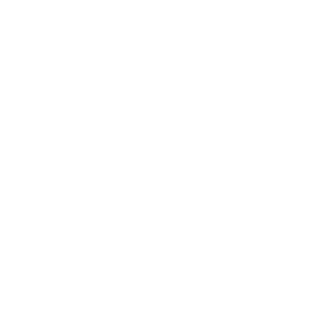 ATP 500 Tournament of the Year
