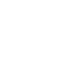 Standards of Excellence