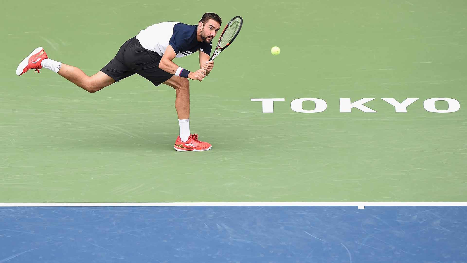Résultat de recherche d'images pour "cilic tokyo"