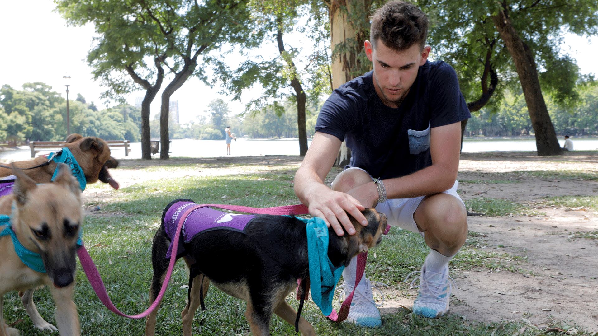 thiem-buenos-aires-2019-dogs-3.jpg