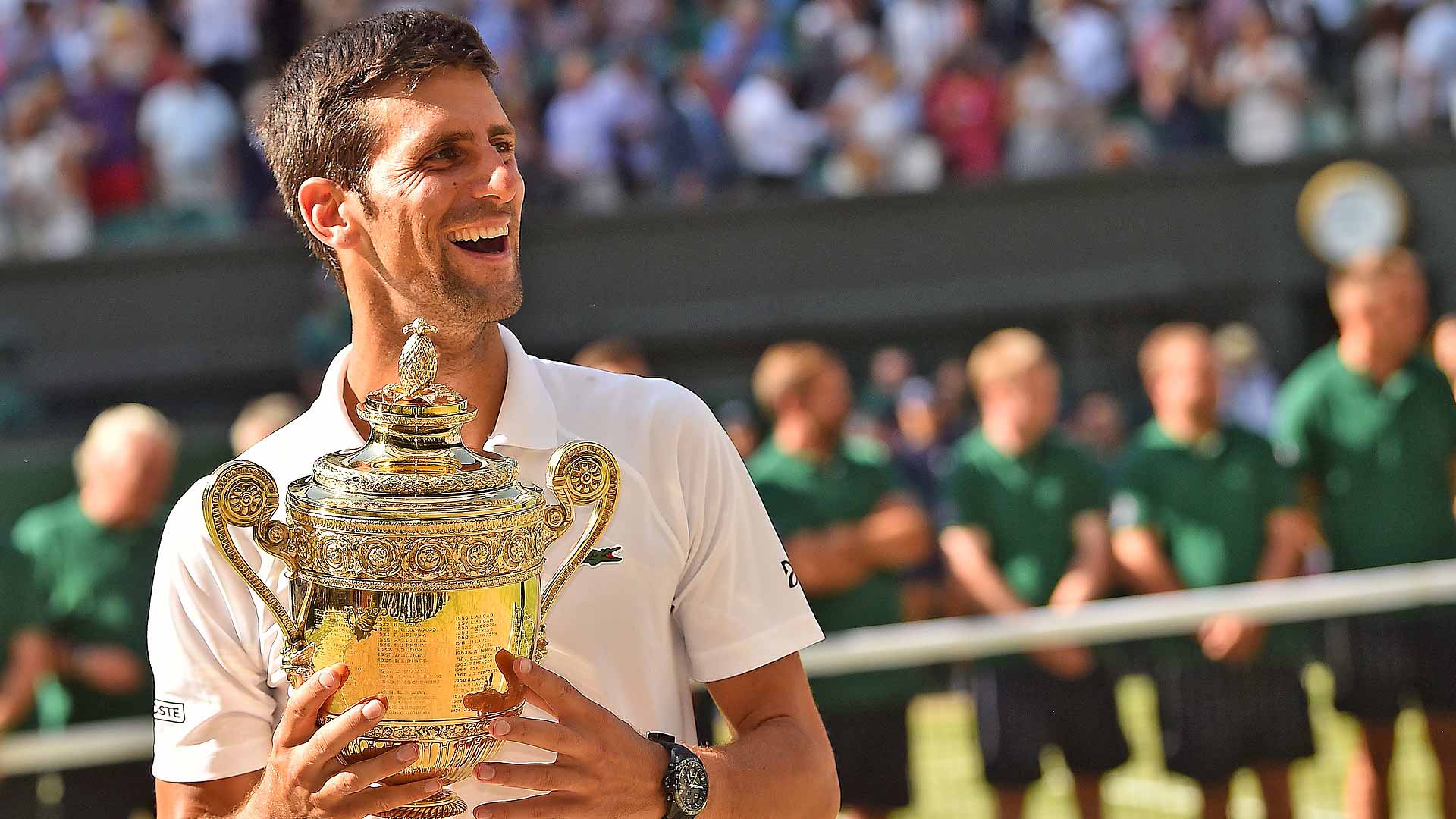 How Much A Year Has Changed Things For Novak Djokovic Entering Wimbledon Atp Tour Tennis Afc wimbledon manager neal ardley has added seven new faces to his squad for season 2018/19 and he's not done yet! novak djokovic
